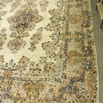 879 9235 ORIENTAL RUG